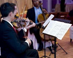 violin