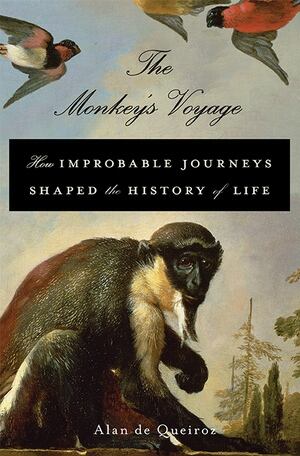 monkey's voyage