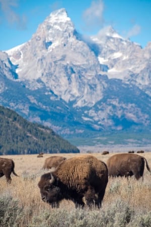 Wyoming Daily Life
