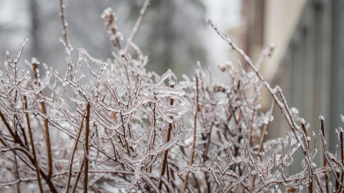 Nova Scotia to get mix of snow, ice pellets, freezing rain, rain Nova