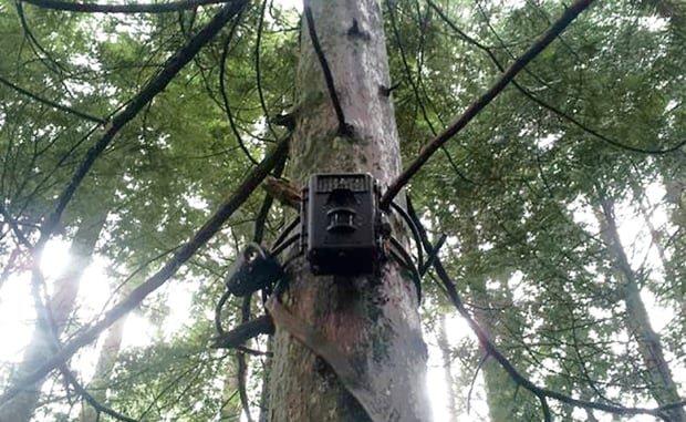 North Shore trail camera