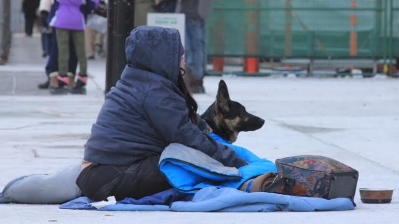 Nearly 1/3 of the US homeless population lives in California. This  veterinarian cares for the pets