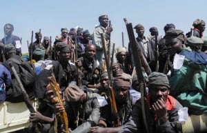 Boko Haram Vigilantes