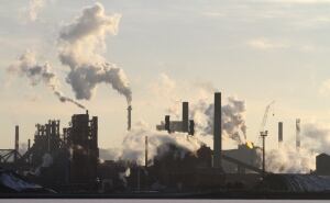 Improving Hamilton's Air Quality by Planting Trees