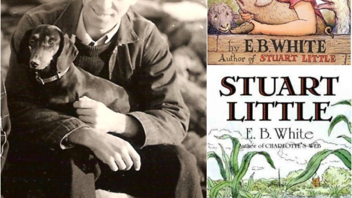 sparknotes essays of eb white sparknotes essays of eb white