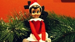 elf-shelf-feature