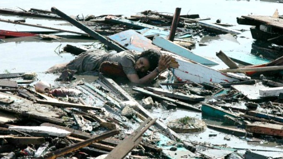 Live tsunami video