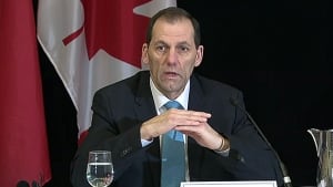 Retired assistant commissioner Alphonse MacNeil led the RCMP review