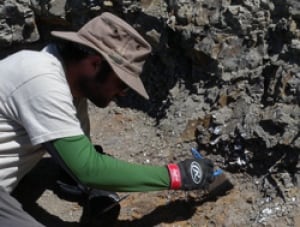 A palaeontologist excavates the new dinosaur.