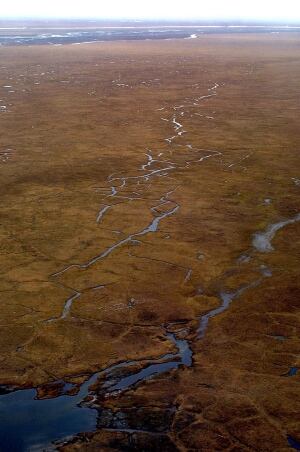 Obama Alaska Wilderness