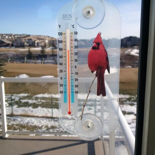 Record high temperature in Calgary this weekend