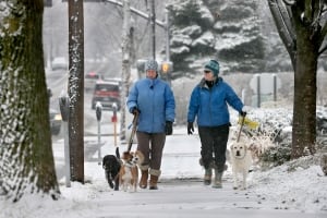 Winter Weather Virginia