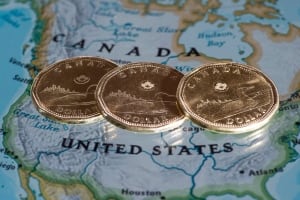 Loonie 20141127