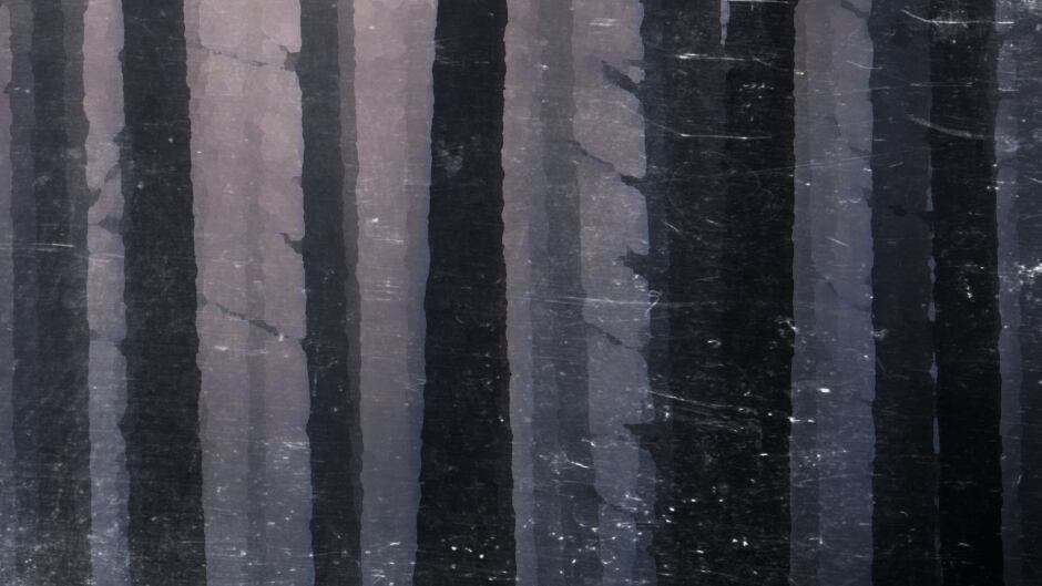 From the cover of "Celia's Song" by Lee Maracle