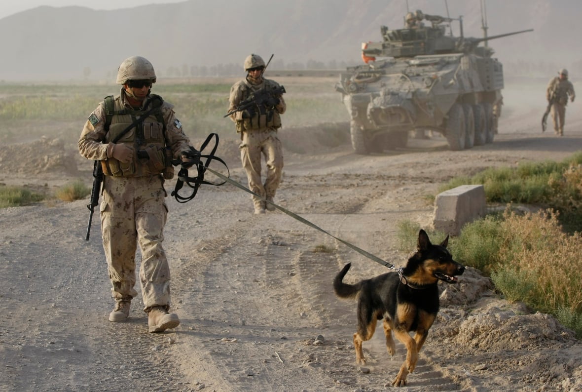 A dog handler walks a military dog, with an armoured vehicle and more military members in the background.