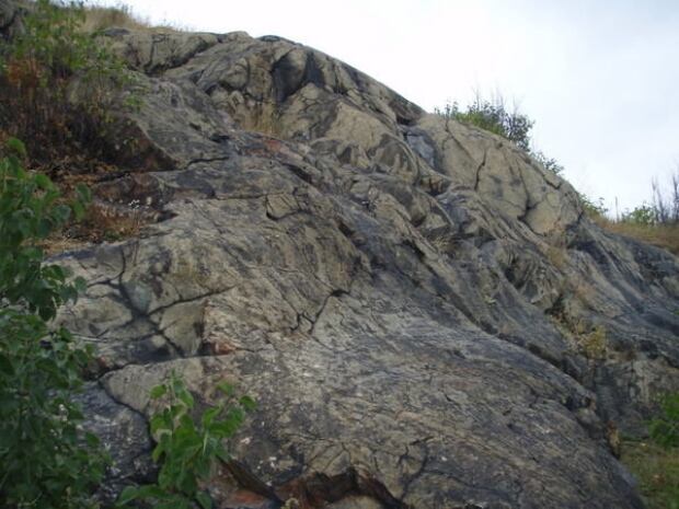 Sudbury Rock