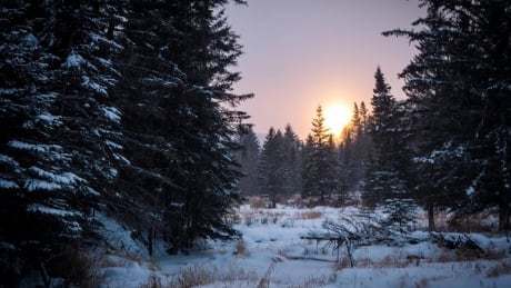 Saskatchewan scenery