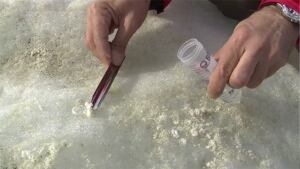 Collecting microbes