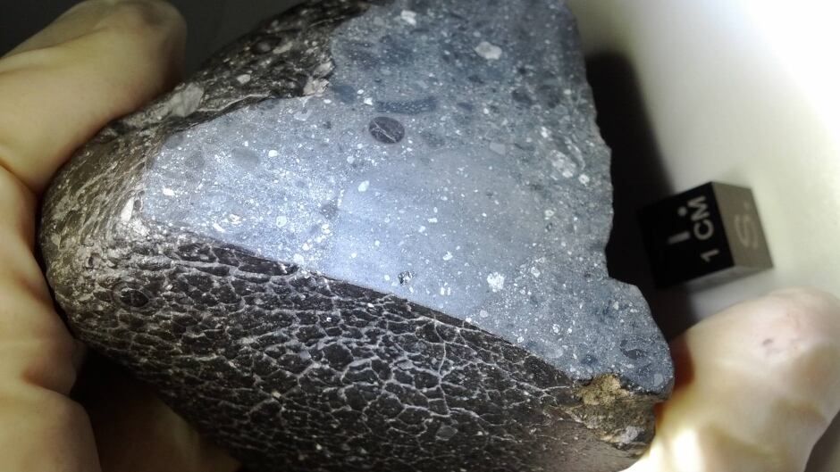 The Martian meteorite nicknamed "black beauty" cut in cross-section