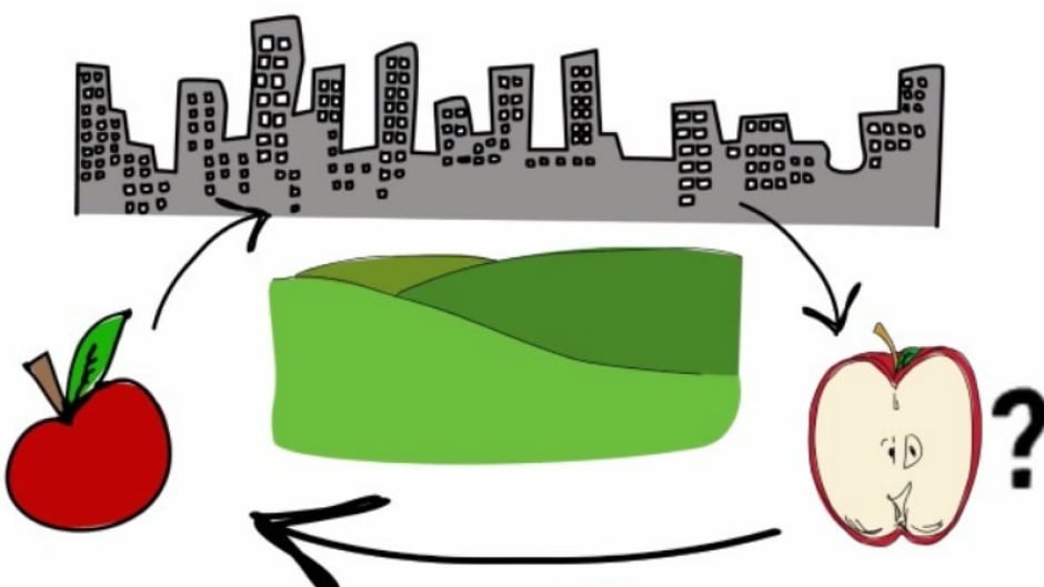 A still from Urban Stream's crowdfunding campaign video.