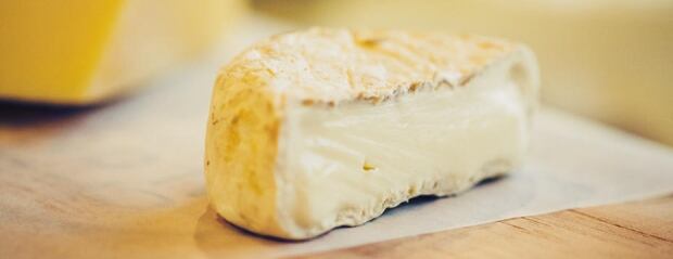 Cheese