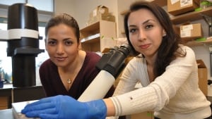 SFU creates beating heart cells