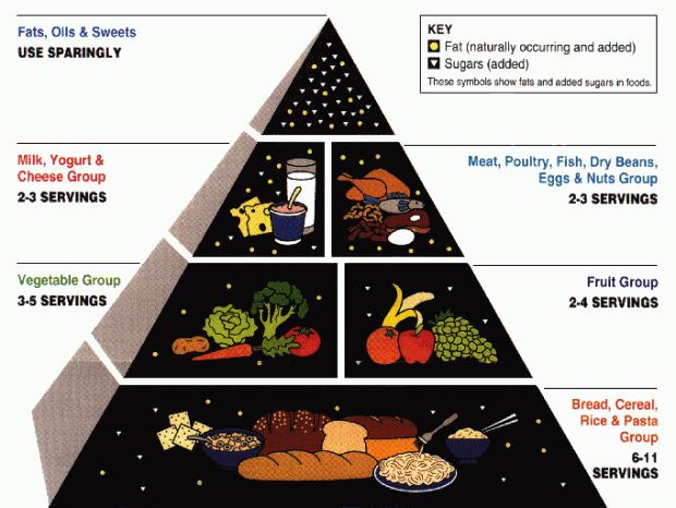 Food pyramid