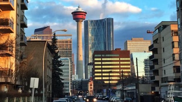 A board has been set up to manage a $100-million fund meant to help small- and medium-sized businesses grow to fill the gap left by a struggling energy industry.
