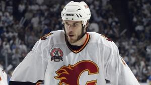 montador-steve