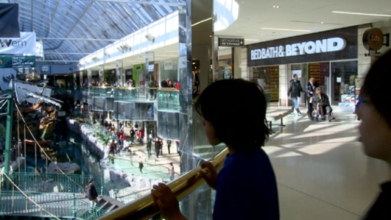 West Edmonton Mall tests emergency lockdown procedures