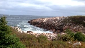 Green Cove