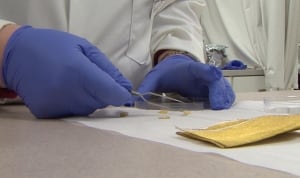 Fabric chips