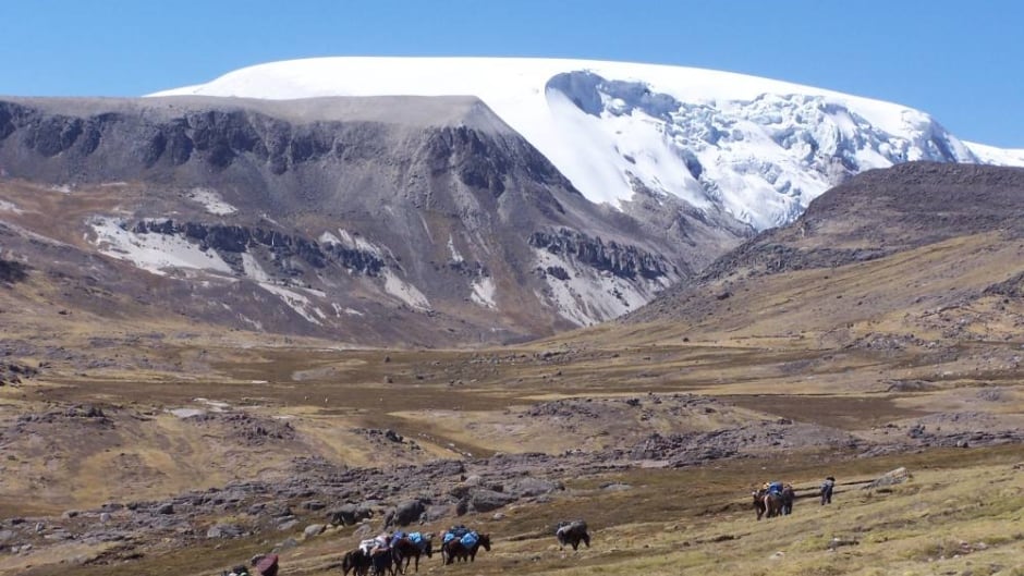 The Quelccaya ice dome in the Peruvian Andes.
