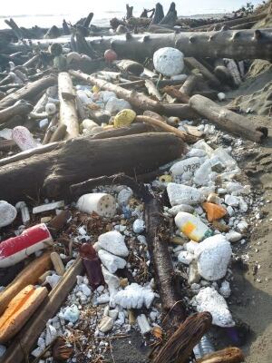 Removing marine debris in Haida Gwaii