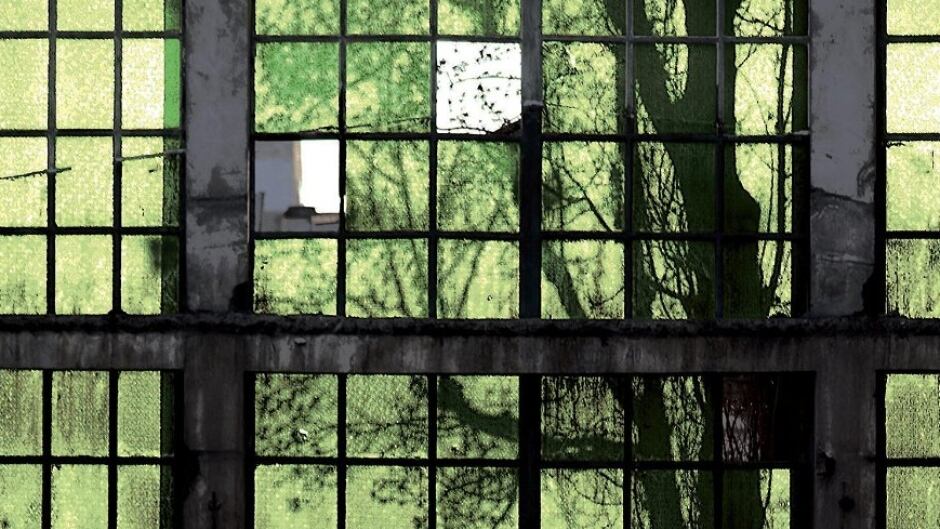 From the cover of "12 Rose Street" by Gail Bowen