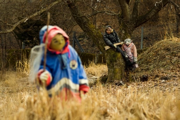JAPAN-DOLLS WIDERIMAGE Feb 24 2015 Shikoku Nagoro town