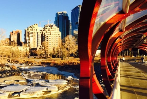 dayinthelifeyyc