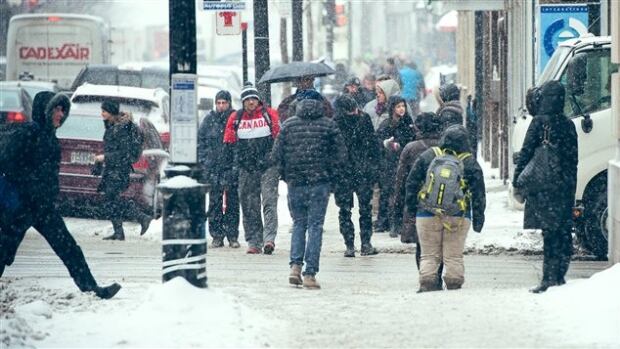 Calforex montreal sainte-catherine