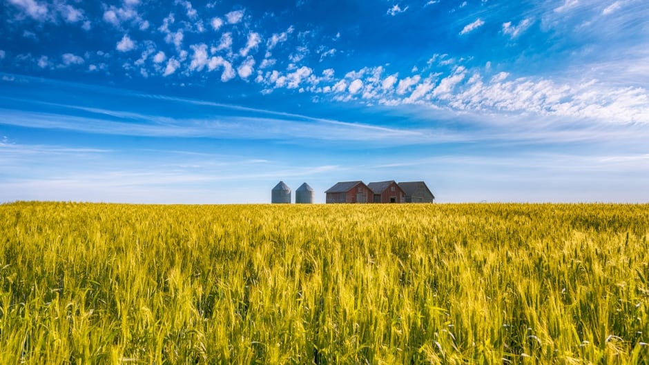 Summer on the prairie