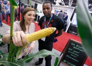 GMO Answers