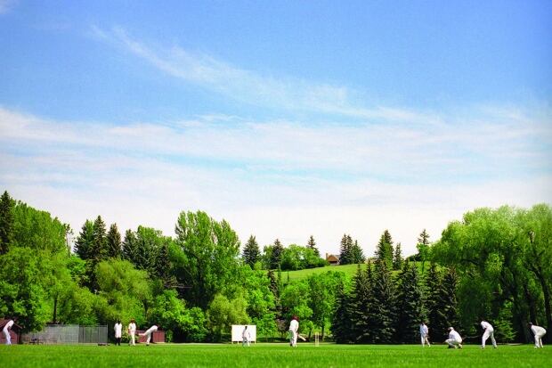 Cricket players Calgary