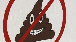 Poo Emoji