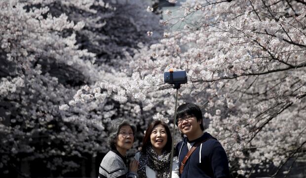 JAPAN-CHERRY-BLOSSOMS March 30 2015 selfie stick