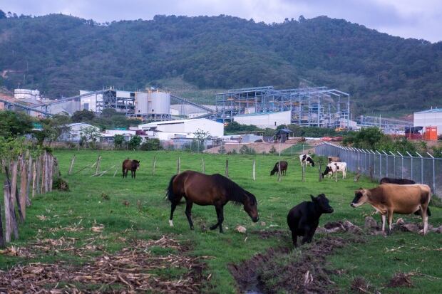 Escobal mine, Guatemala