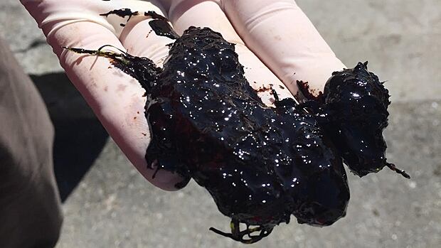 English Bay oil spill