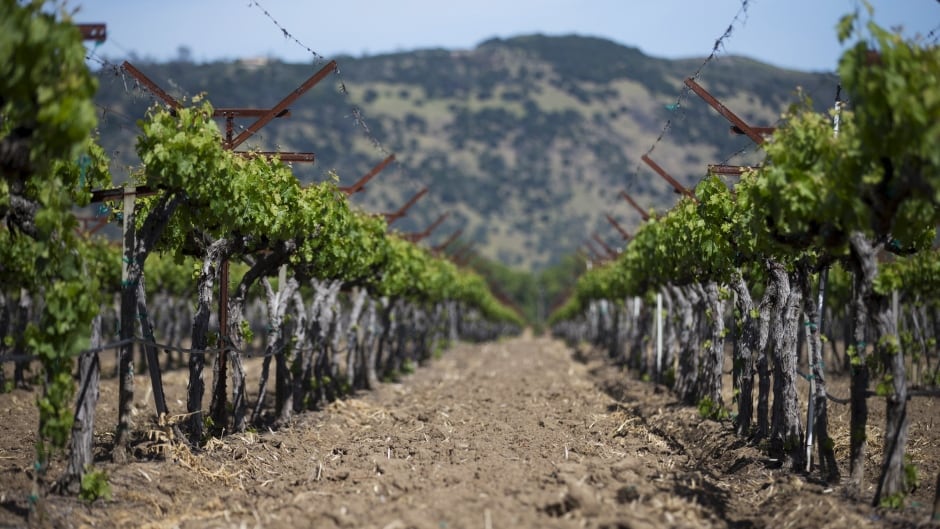 As the drought grinds on in California, the state's getting serious about conserving water and must make major shifts in water usage and agriculture.