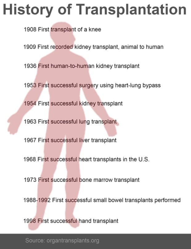 Transplantation 600 pix