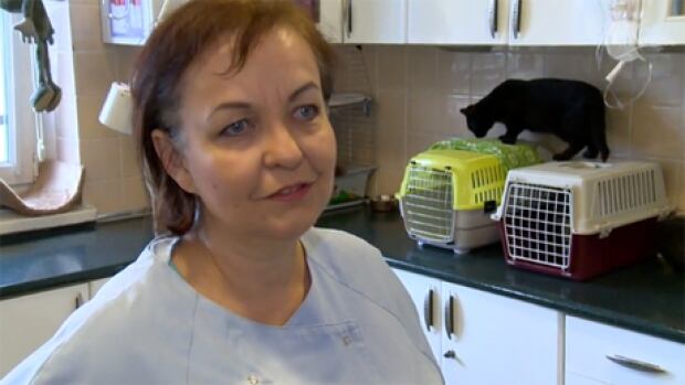 Nurse cat 4