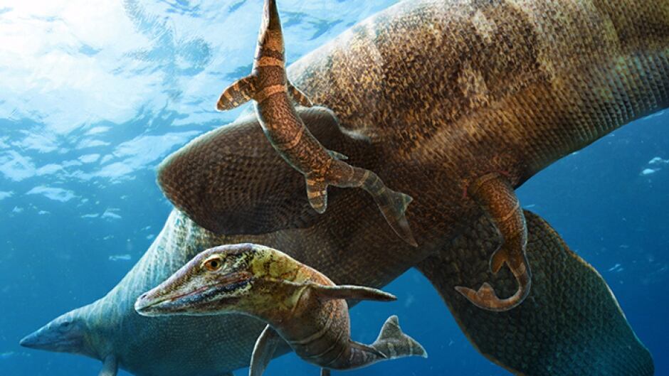 Artist's conception of Mosasaur giving birth