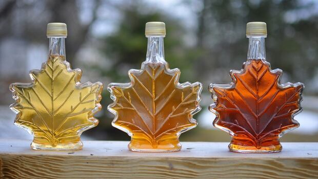 Maple Syrup McGill